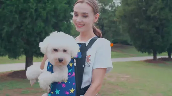 Suministros para mascotas ecológicos de torre de árbol de gato duradero de madera moderna